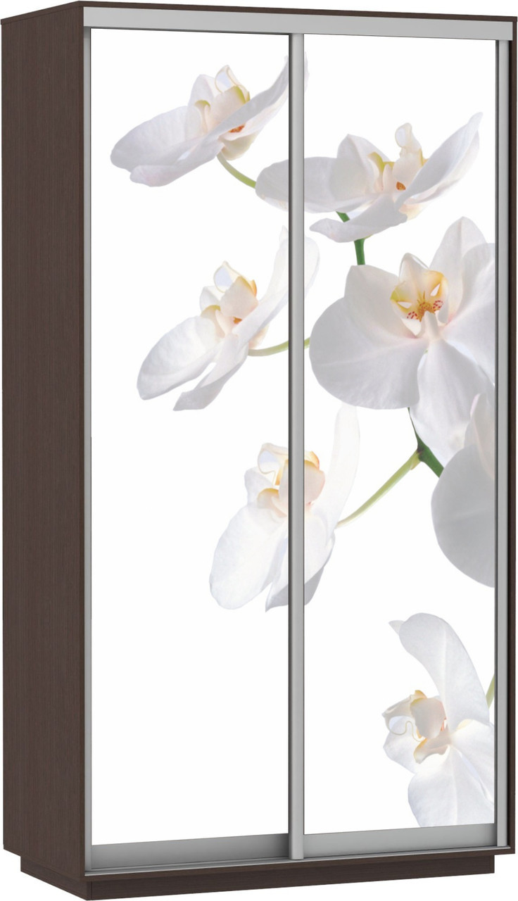 Шкаф-купе Экспресс Фото дуо  "Орхидея белая" 2,2 м (h)